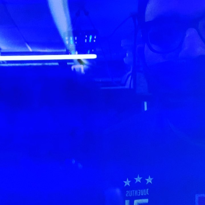 Oreni Tilefish (Hoplolatilus oreni) in...