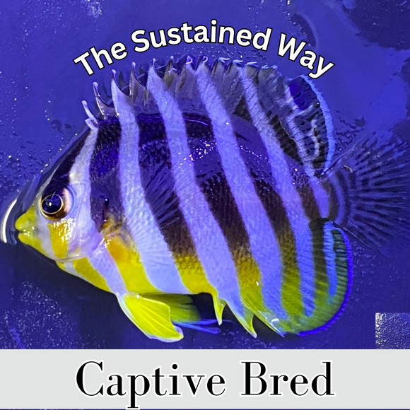 3 fb53771a 30c8 418c 83e0 30e4426fe666