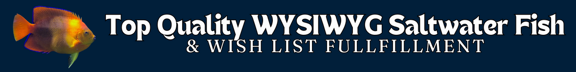 Storefront banner 5 35a6980e 87e7 4e32 85ad 88e5cd0a72fb