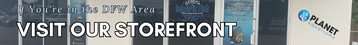 Storefront banner d9c284c0 933b 418f ae17 2b63220f6d00