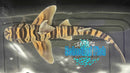 Zebra Horn Shark Female-2
